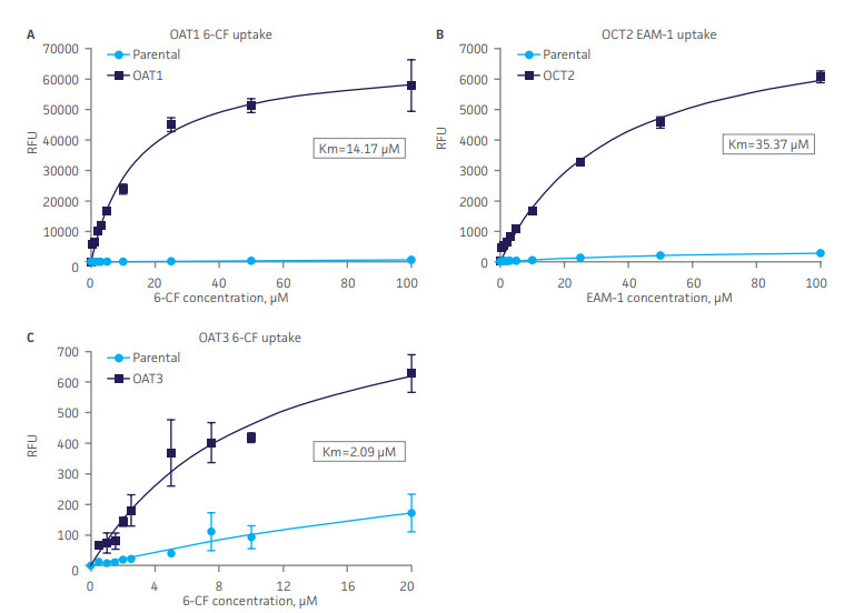 3D models graph