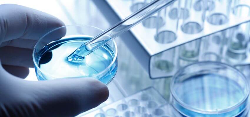 Scientist taking a sample out of a petri dish