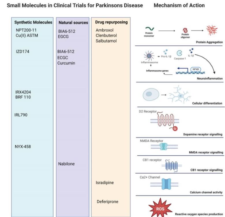 Drugs Against Parkinson’s Disease-Small molecules