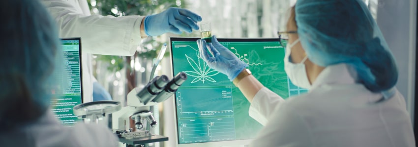 cannabis laboratory