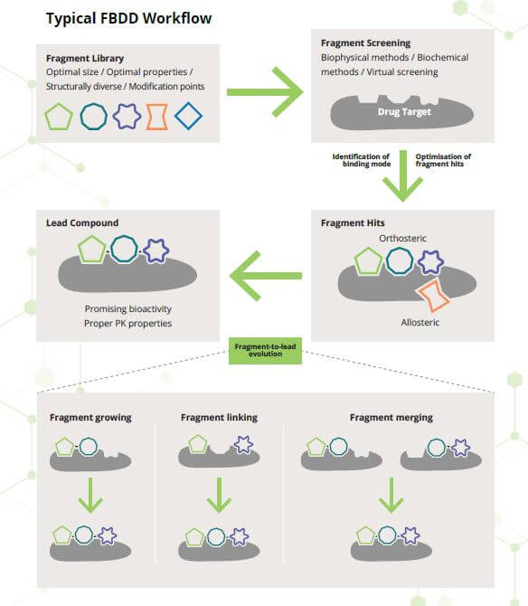 fragment-based drug discovery work flow