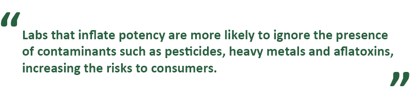 Labs that inflate potency are more likely to ignore the presence of contaminants such as pesticides, heavy metals and aflatoxins, increasing the risks to consumers