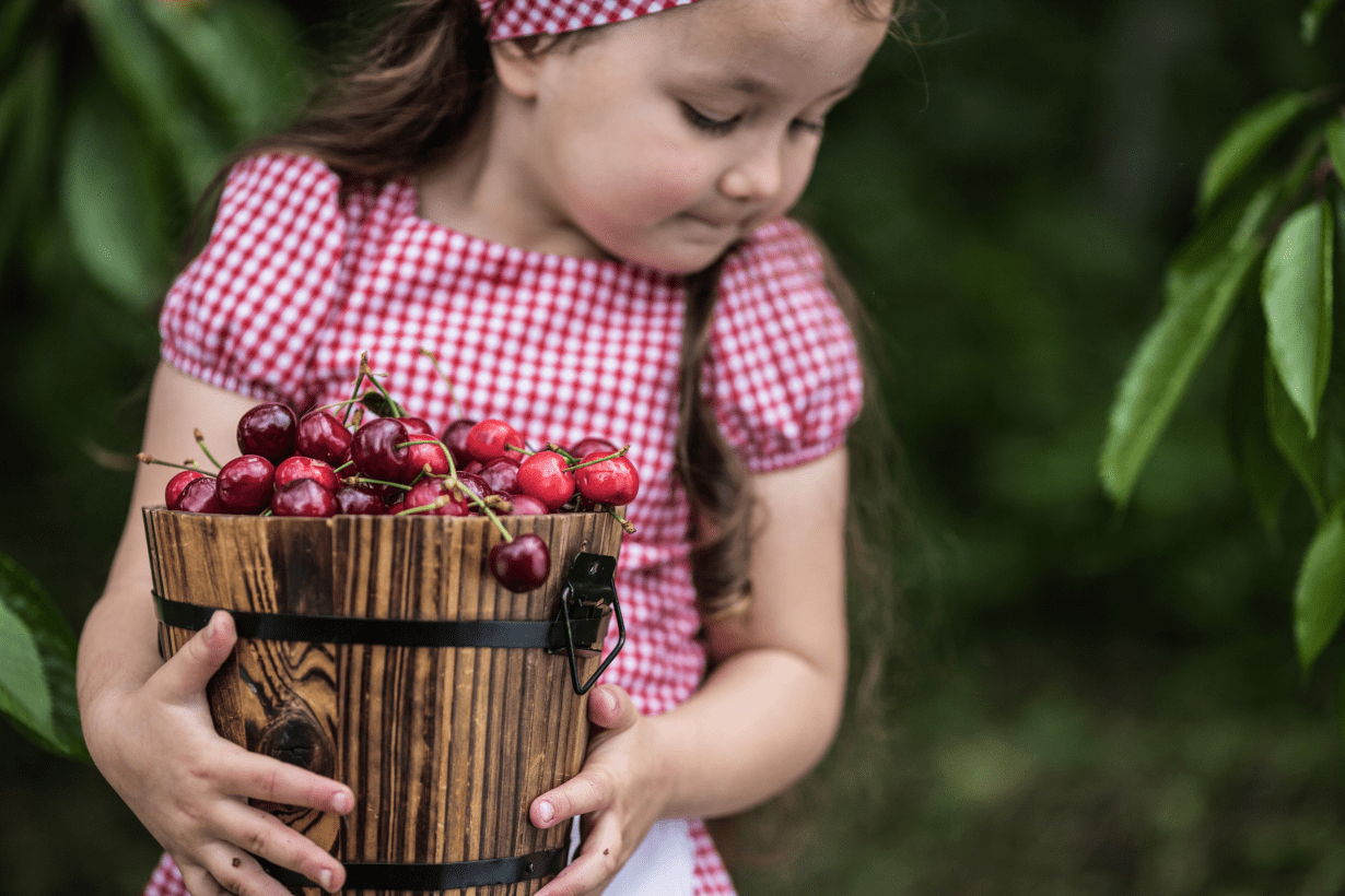 cherries