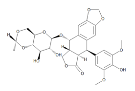 Etoposide