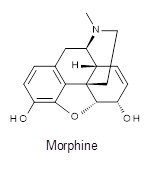 morphine structure