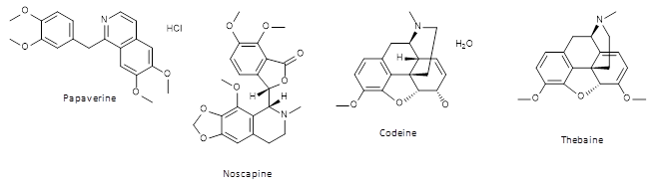 opiods structures