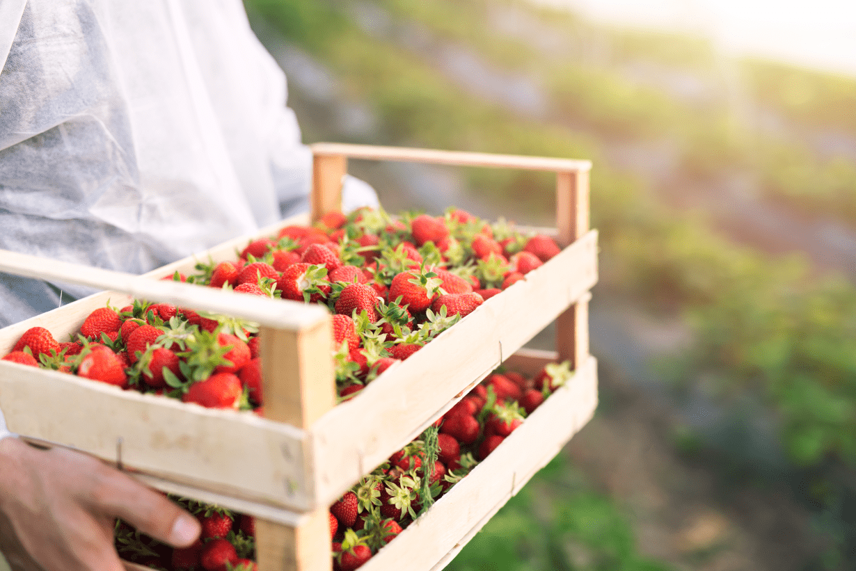 strawberries